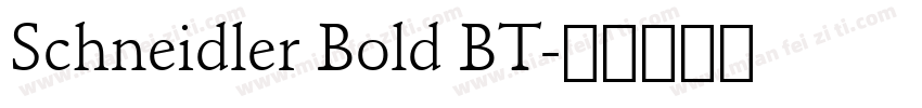 Schneidler Bold BT字体转换